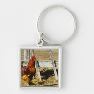Rhode Island Red Hahn Schlüsselanhänger