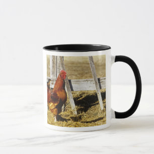Rhode Island Red Hahn Tasse