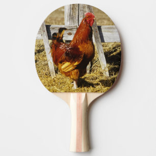 Rhode Island Red Hahn Tischtennis Schläger