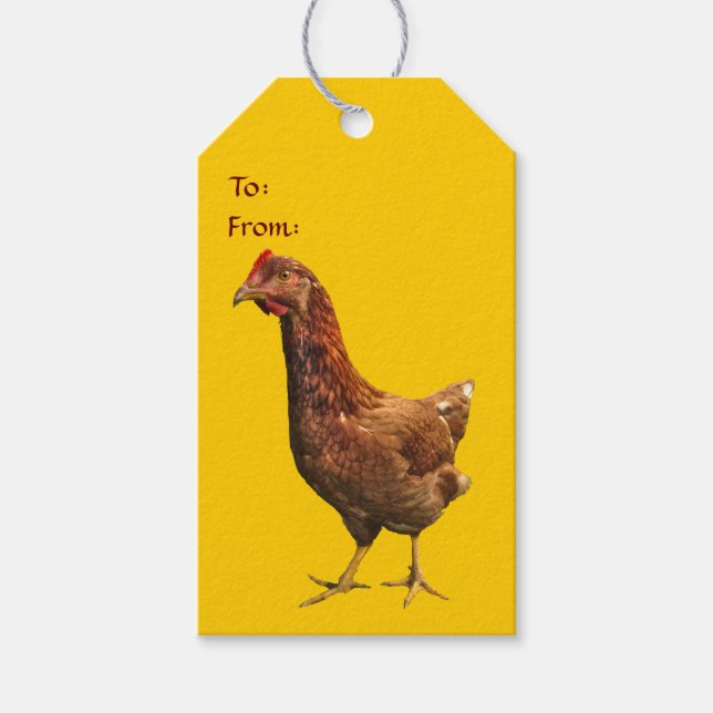 Rhode Island Red Hen Chicken Pack mit Geschenkarti Geschenkanhänger (Vorderseite)