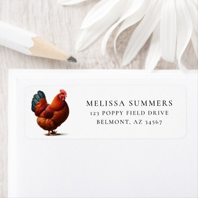 Rhode Island Red Huhn (Insitu)