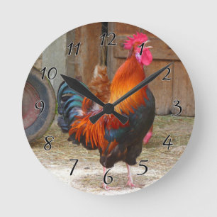 Rhode Island Red Rooster Crowing in Barnyard Runde Wanduhr