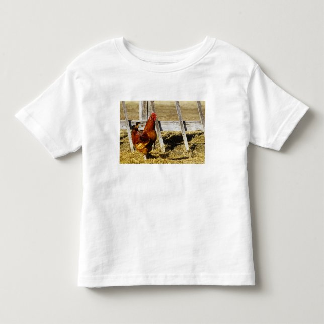 Rhode Island Red Rooster Kleinkind T-shirt (Vorderseite)
