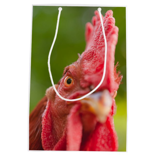 Rhode Island Red Rooster Mittlere Geschenktüte (Rückseite)