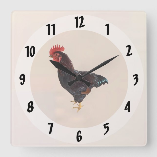 Rhode Island Red Rooster Quadratische Wanduhr (Vorderseite)