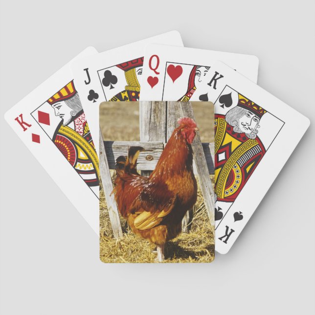 Rhode Island Red Rooster Spielkarten (Rückseite)