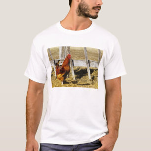 Rhode Island Red Rooster T-Shirt