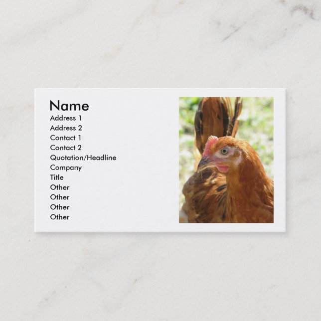 Rhode Island Red Visitenkarte (Vorderseite)