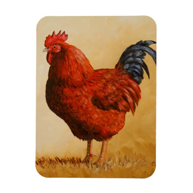 Rhode Island Rooster Chicken Magnet (Vertikal)