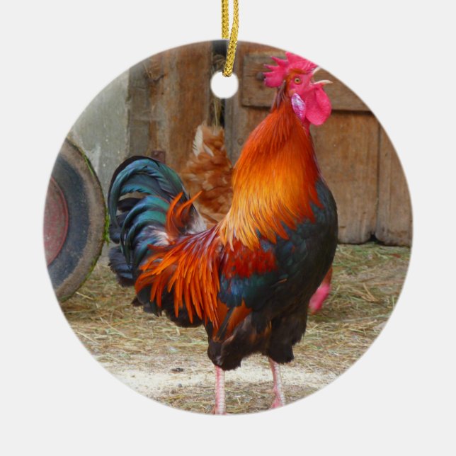 Rhode Island Rooster Crowing in Barnyard Keramikornament (Vorne)