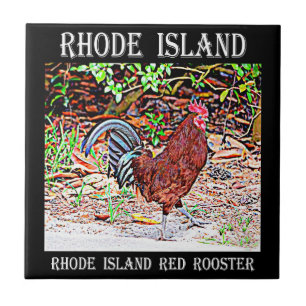 Rhode Island Rot-Hahn Fliese