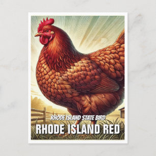 Rhode Island Staat Bird Rhode Island Postkarte
