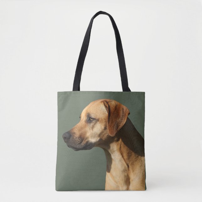 Rhodesian Ridgeback (Vorderseite)