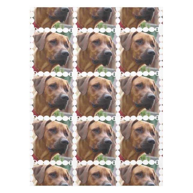 rhodesian-ridgeback-5 tischdecke (Vorderseite)