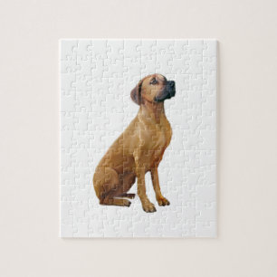 Rhodesian Ridgeback (A) Puzzle