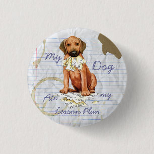 Rhodesian Ridgeback Ate Lesson Plan Pinback Schalt Button