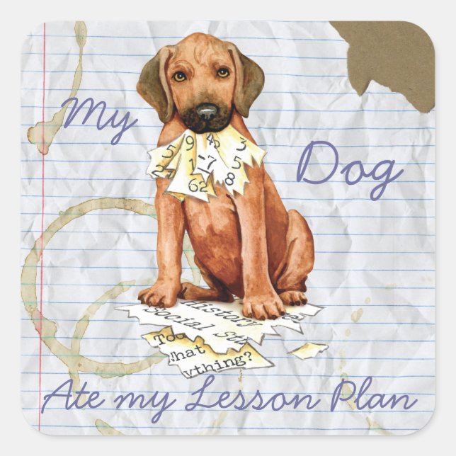 Rhodesian Ridgeback Ate Lesson Plan Square Sticker (Vorderseite)