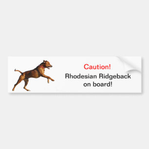 Rhodesian Ridgeback Autoaufkleber