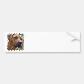 Rhodesian Ridgeback Autoaufkleber