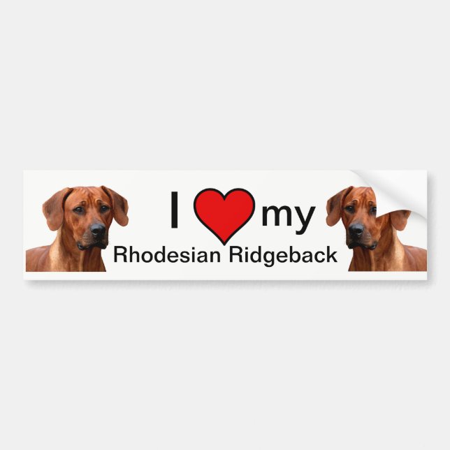 Rhodesian Ridgeback bumpersticker Autoaufkleber (Vorne)
