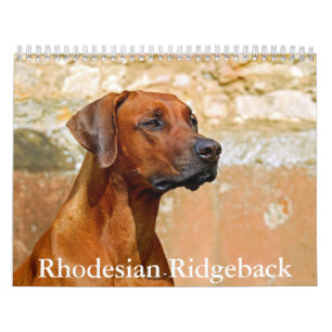 Rhodesian Ridgeback Calendar Kalender