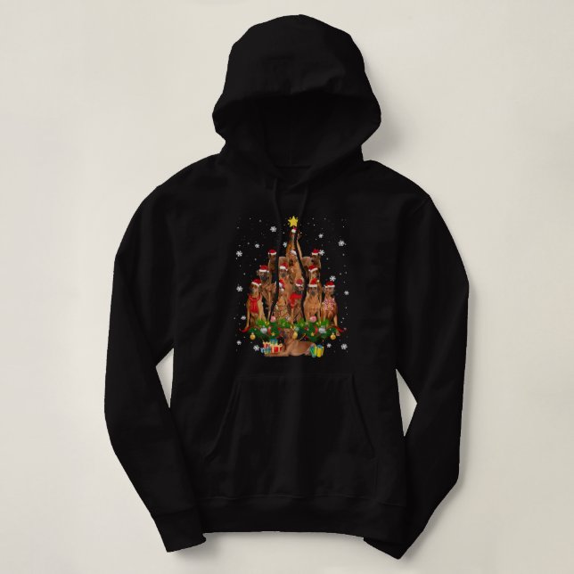 Rhodesian Ridgeback Christmas Tree Lights Funny Do Hoodie (Design vorne)