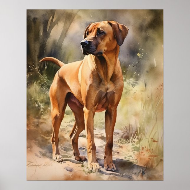 Rhodesian Ridgeback Dog Art Print Poster (Vorne)