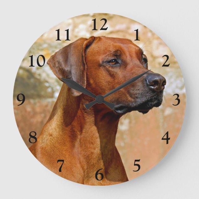 Rhodesian Ridgeback Dog Große Wanduhr (Vorderseite)