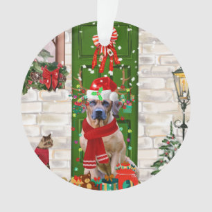 Rhodesian Ridgeback Dog Weihnachten Ornament