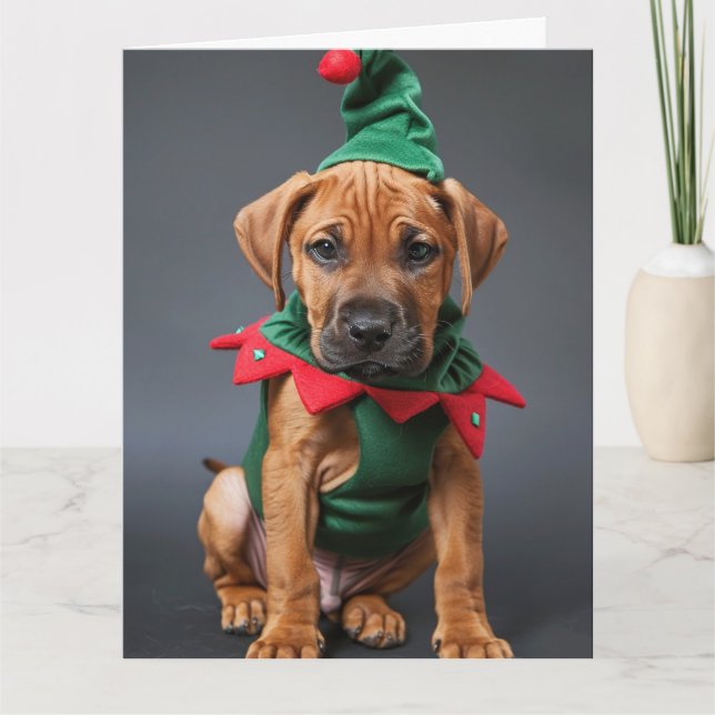 Rhodesian Ridgeback Elf Welpe Weihnachtskarte Karte (Vorderseite)