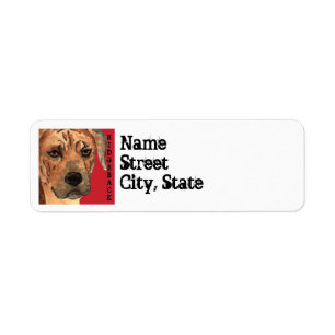 Rhodesian Ridgeback Farbblock