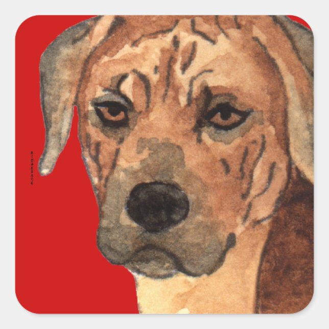 Rhodesian Ridgeback Farbblock Quadratischer Aufkleber (Vorderseite)