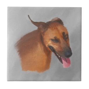 Rhodesian Ridgeback Fliese