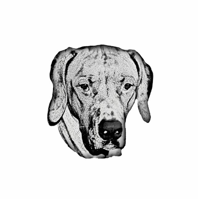 Rhodesian Ridgeback Freistehende Fotoskulptur (Vorne)