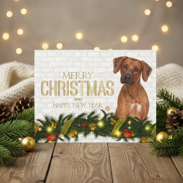 Rhodesian Ridgeback Frohe Weihnachtsfeier Neues Ja Feiertagspostkarte