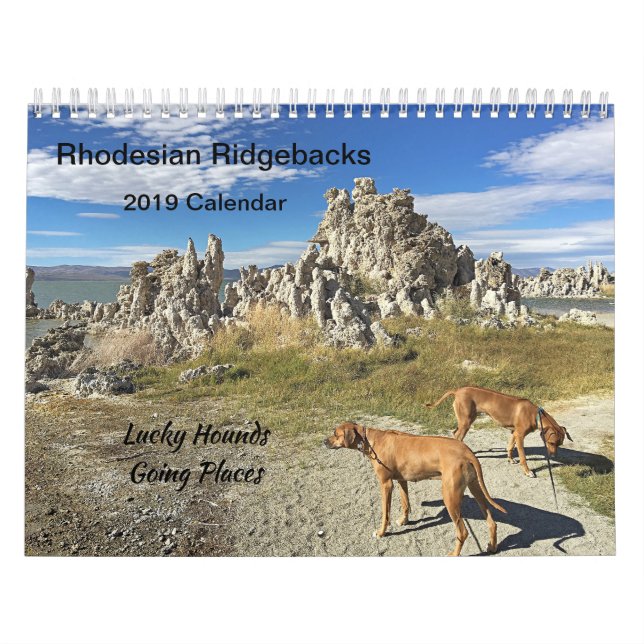 Rhodesian Ridgeback gehende Plätze Kalender-2019 Kalender (Titelbild)