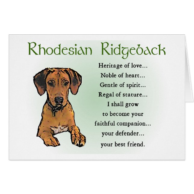 Rhodesian Ridgeback Geschenke (Vorderseite (Horizontal))