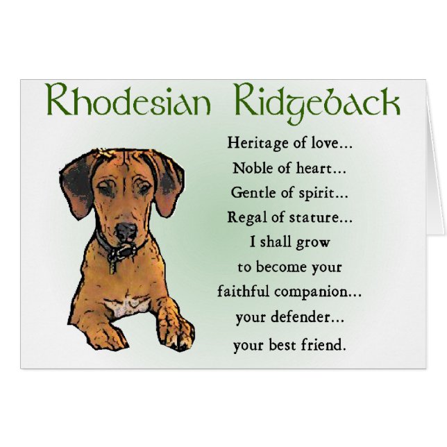 Rhodesian Ridgeback Geschenke (Vorderseite (Horizontal))