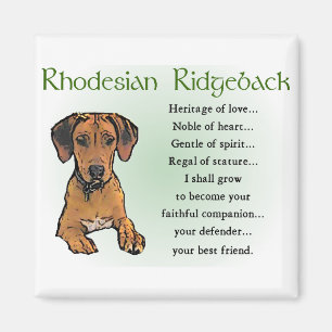 Rhodesian Ridgeback Geschenke Magnet