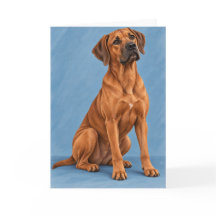 Rhodesian Ridgeback Grußkarte