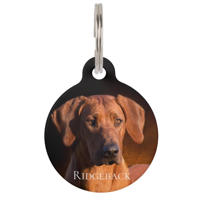 Rhodesian Ridgeback Haustiermarke (Vorderseite)