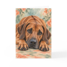 Rhodesian Ridgeback Hund Aquarell Blumenkarte