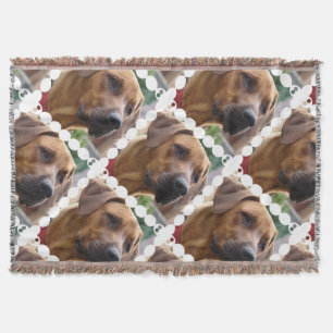 Rhodesian Ridgeback Hund Decke