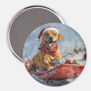 Rhodesian Ridgeback Hund im Schlitten Weihnachten Magnet