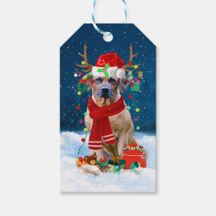 Rhodesian Ridgeback Hund in Schnee Weihnachtsgesch Geschenkanhänger