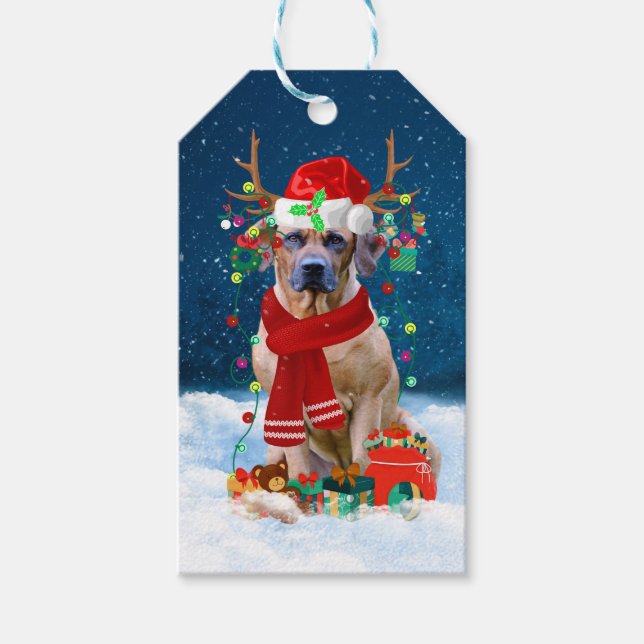 Rhodesian Ridgeback Hund in Schnee Weihnachtsgesch Geschenkanhänger (Vorderseite)