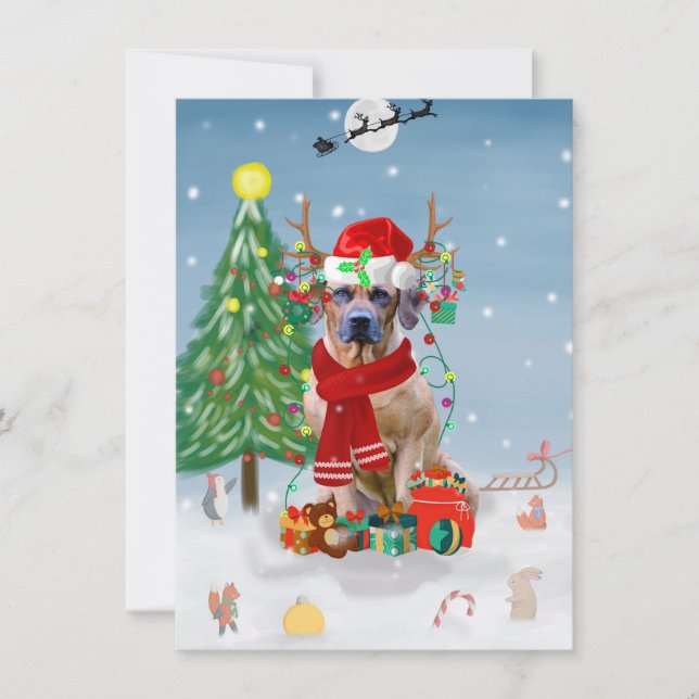 Rhodesian Ridgeback Hund in Schnee Weihnachtsgesch Karte (Vorderseite)