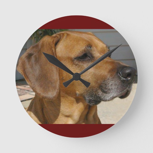 RHODESIAN RIDGEBACK Hunde Rasse Haustier Runde Wanduhr (Vorderseite)