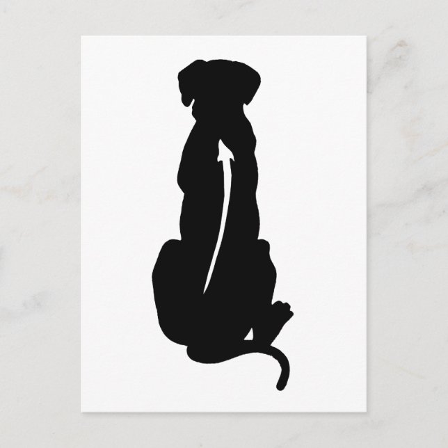 Rhodesian Ridgeback Hunde Spinne Postkarte (Vorderseite)