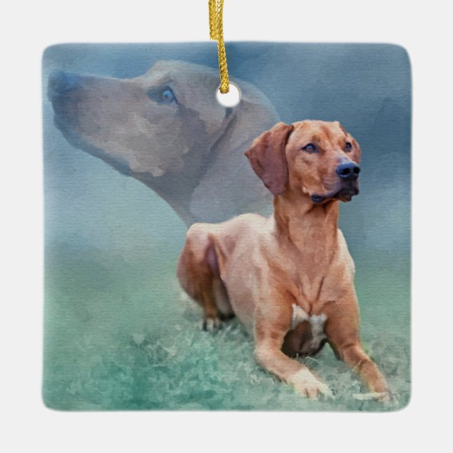 Rhodesian Ridgeback Hundecollage Keramikornament (Vorderseite)